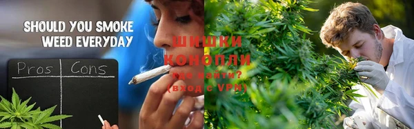 индика Осинники