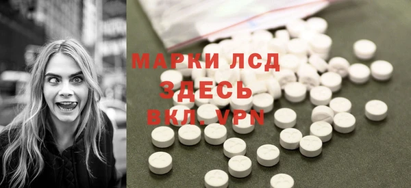 индика Осинники