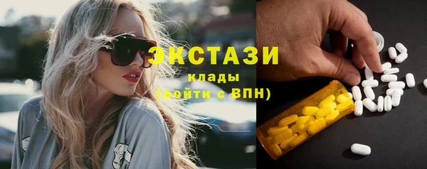 индика Осинники