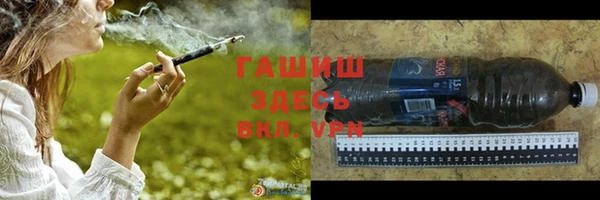 индика Осинники