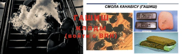индика Осинники