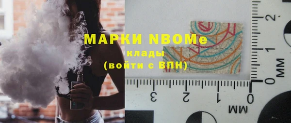 индика Осинники