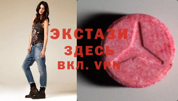 индика Осинники