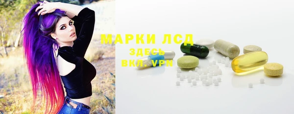 индика Осинники
