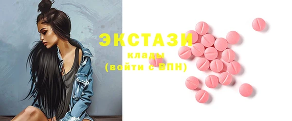 индика Осинники