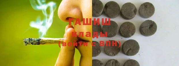 индика Осинники