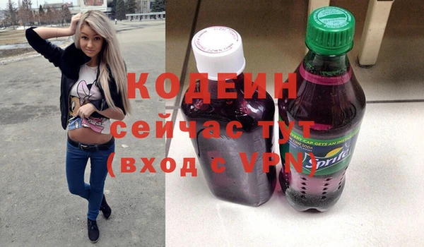 индика Осинники