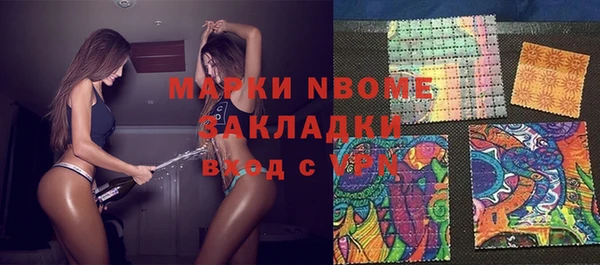 индика Осинники