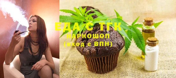 индика Осинники