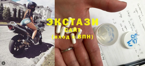 индика Осинники