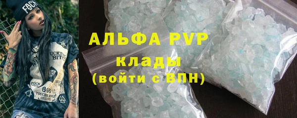 индика Осинники