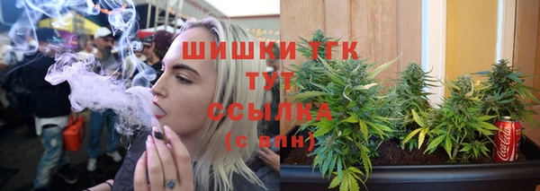 индика Осинники