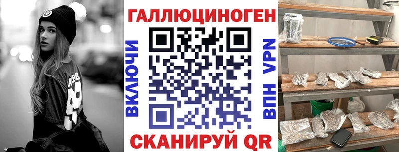 продажа наркотиков  Шиханы  Псилоцибиновые грибы Psilocybine cubensis 